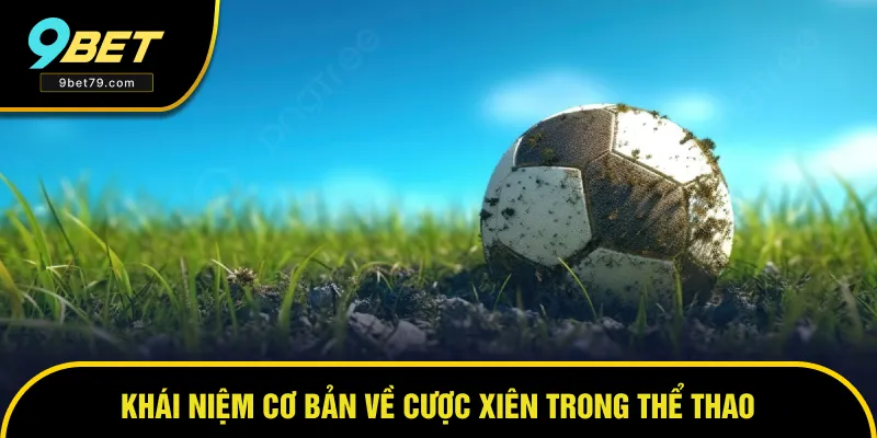 Khái niệm thông tin của cược xiên trong thể thao Khái niệm thông tin của cược xiên trong thể thao